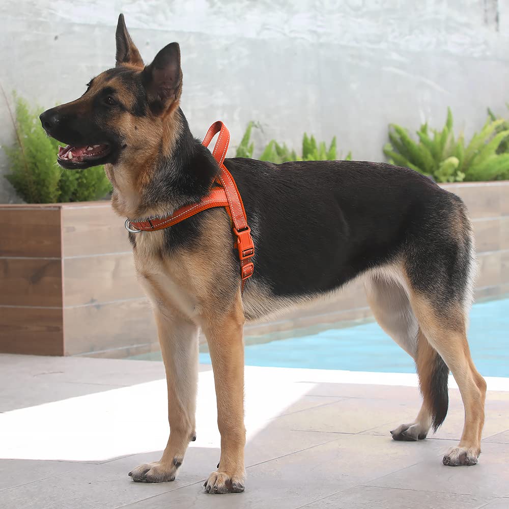 PLUTUS PET No Pull Dog Harness Size L - Breathable Mesh, Reflective, Quick Fit Step-In Vest for Medium/Large Dogs (Orange)