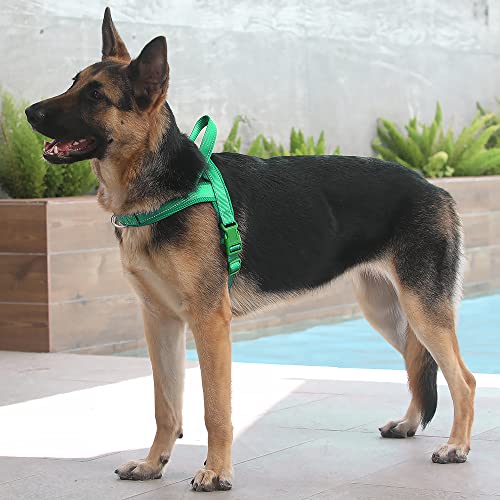 Plutus Pet No Pull Dog Harness Size L Green – Breathable Mesh, Reflective, Step-In Design