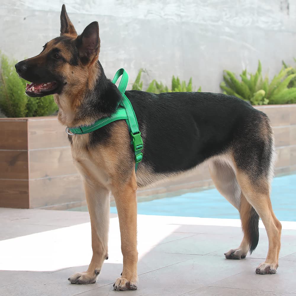 Plutus Pet No Pull Dog Harness Size L Green – Breathable Mesh, Reflective, Step-In Design