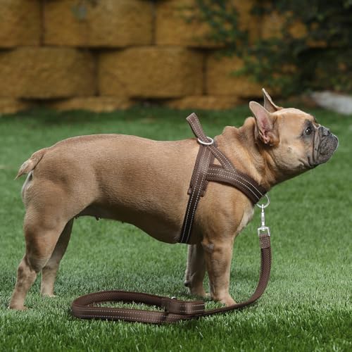 Plutus Pet No Pull Dog Harness with Breathable Mesh, Reflective, Quick Fit - Size M Chocolate