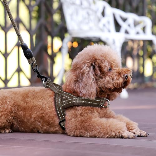 Plutus Pet No Pull Dog Harness with Breathable Mesh, Reflective, Quick Fit - Size M Chocolate