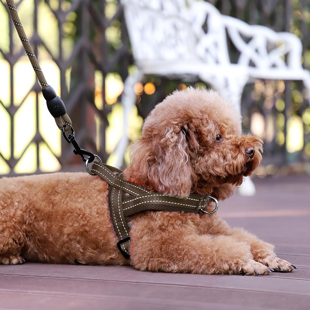Plutus Pet No Pull Dog Harness with Breathable Mesh, Reflective, Quick Fit - Size M Chocolate
