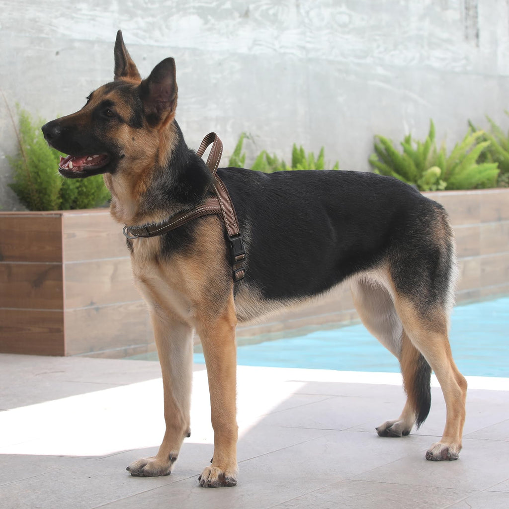 Plutus Pet No Pull Dog Harness with Breathable Mesh, Reflective, Quick Fit - Size M Chocolate