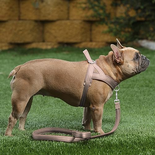 PLUTUS PET No Pull Dog Harness XS Beige – Breathable Mesh, Reflective, Escape Proof for Small Dogs