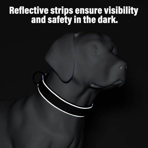 PLUTUS PET Tactical Dog Collar - Heavy Duty Reflective Collar for Small to Large Dogs (Gray, XL)