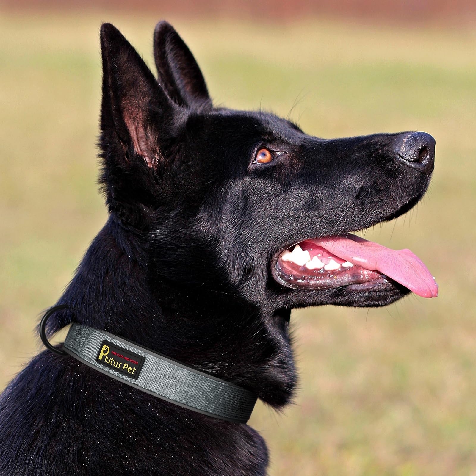 PLUTUS PET Tactical Dog Collar - Heavy Duty Reflective Collar for Small to Large Dogs (Gray, XL)