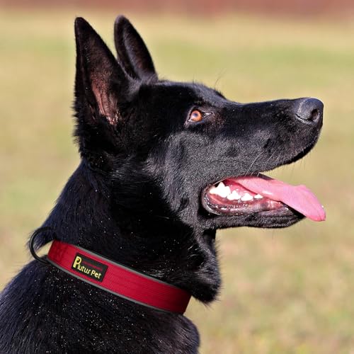 Plutus Pet Tactical Dog Collar - Reflective, Adjustable, Heavy Duty Nylon with Neoprene Padding (Red, Size S)