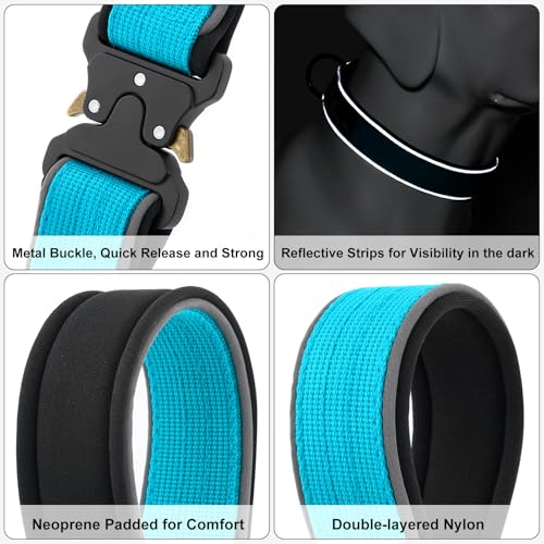 Plutus Pet Tactical Dog Collar - Reflective, Padded, Adjustable Nylon Collar for Small to Large Dogs (Cyan, Size L)