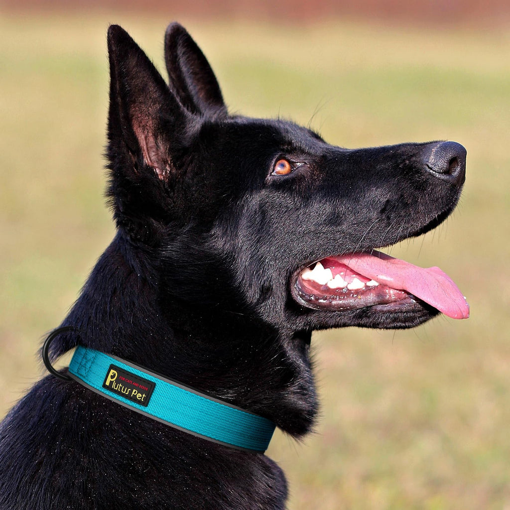 Plutus Pet Tactical Dog Collar - Reflective, Padded, Adjustable Nylon Collar for Small to Large Dogs (Cyan, Size L)