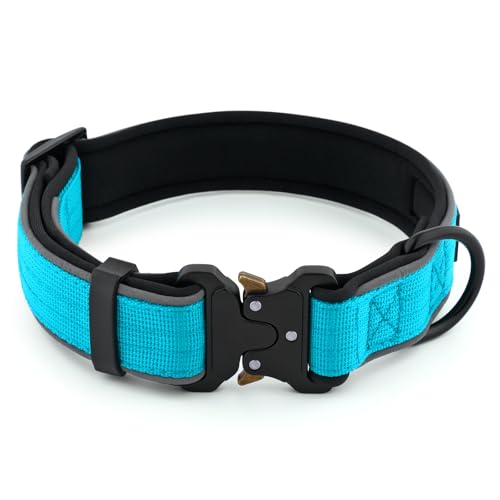 Plutus Pet Tactical Dog Collar - Reflective, Padded, Adjustable Nylon Collar for Small to Large Dogs (Cyan, Size L)