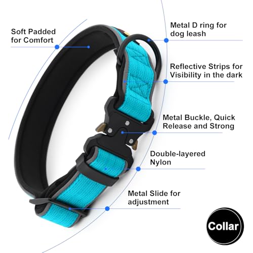 Plutus Pet Tactical Dog Collar - Reflective, Padded, Adjustable Nylon Collar for Small to Large Dogs (Cyan, Size L)