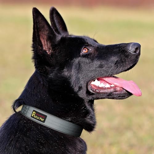 Plutus Pet Tactical Dog Collar – Reflective, Padded, Adjustable for Small to Large Dogs (Gray, Size S)