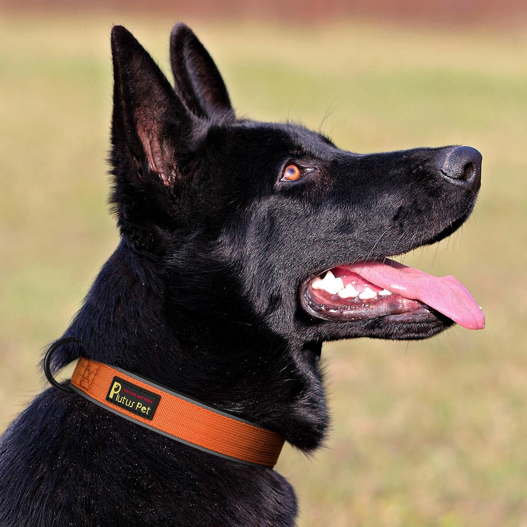PLUTUS PET Tactical Dog Collar – Reflective, Padded, Heavy Duty Nylon for Small to Large Dogs (Orange, XL)