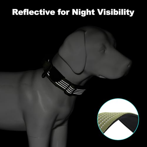 PLUTUS PET Tactical Dog Collar with AirTag Pocket - Ranger Green Size L - Reflective, Padded Nylon, Metal Buckle, Leather Handle