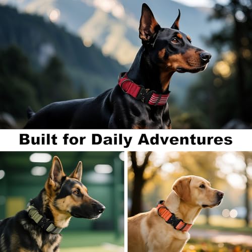 PLUTUS PET Tactical Dog Collar with AirTag Pocket – Red, Size S, Reflective, Padded Nylon, Medium to Large Dogs