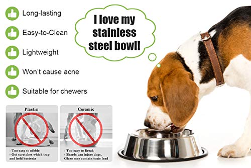 Podinor Stainless Steel Dog Bowls 2-Pack – Non-Slip Rubber Rim, Stackable, Dishwasher Safe for Small, Medium, Large Dogs
