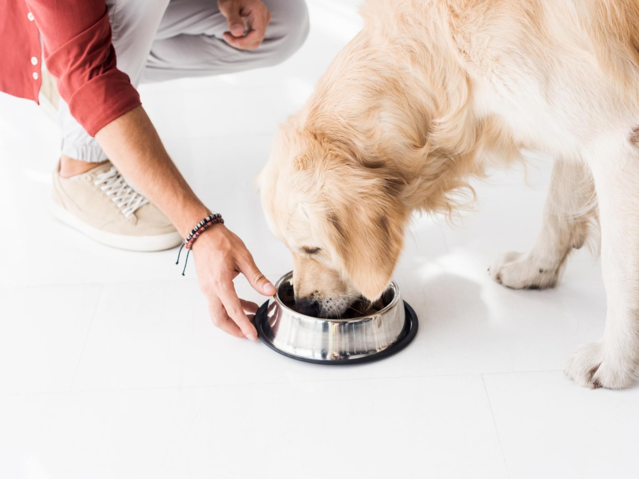 Podinor Stainless Steel Dog Bowls 2-Pack – Non-Slip Rubber Rim, Stackable, Dishwasher Safe for Small, Medium, Large Dogs