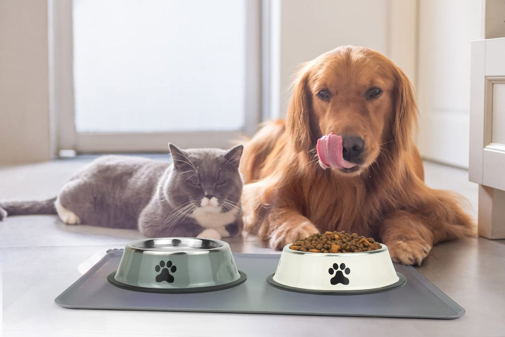 Podinor Stainless Steel Dog Bowls 2-Pack – Non-Slip, Stackable, Dishwasher Safe for Small, Medium, Large Dogs