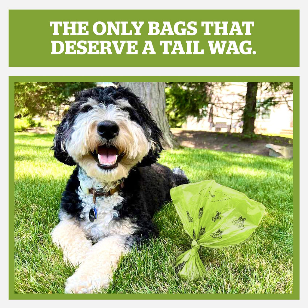 Pogi's Compostable Poop Bags – Extra-Large, Plant-Based, Leak-Proof (300-Count Single Roll)