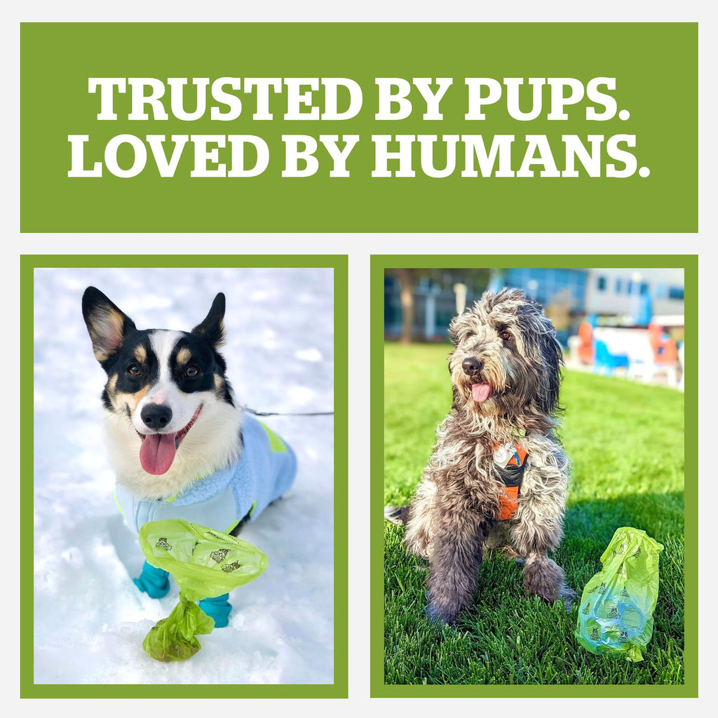 Pogi's Compostable Poop Bags – Extra-Large, Plant-Based, Leak-Proof (300-Count Single Roll)
