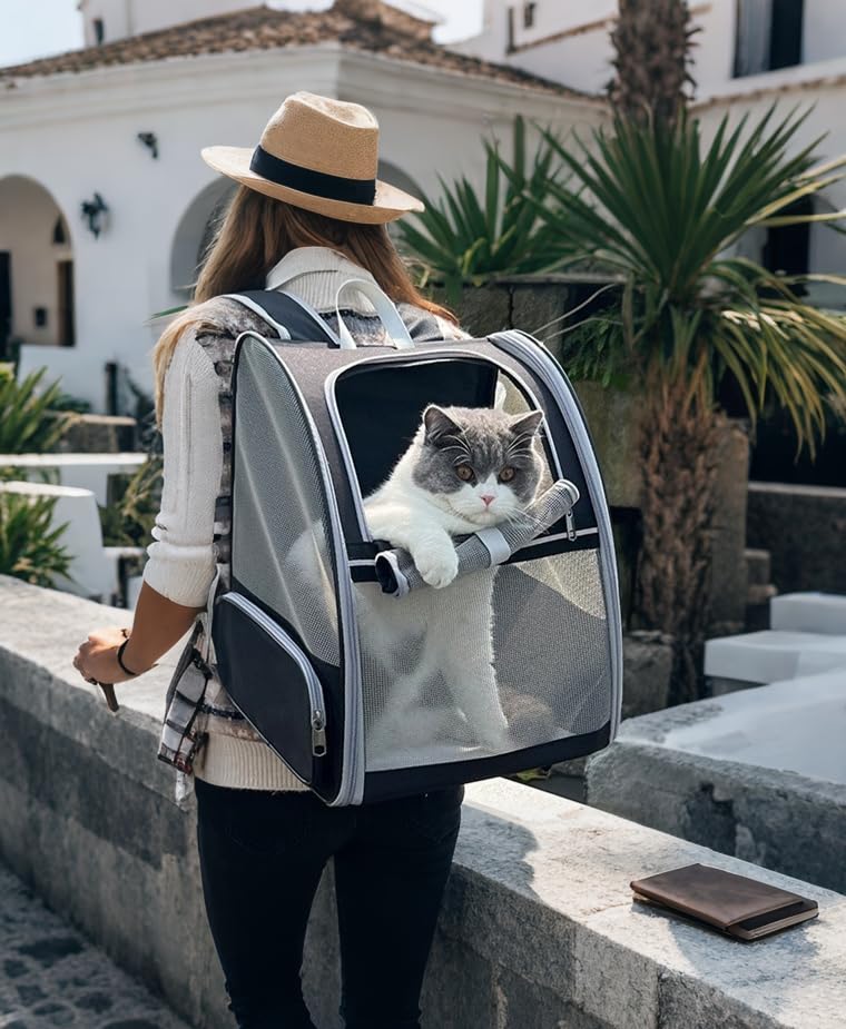Pollason Pet Backpack Carrier for Cats and Small Dogs up to 15 lbs - Collapsible Travel Backpack with Mesh Ventilation (Black)