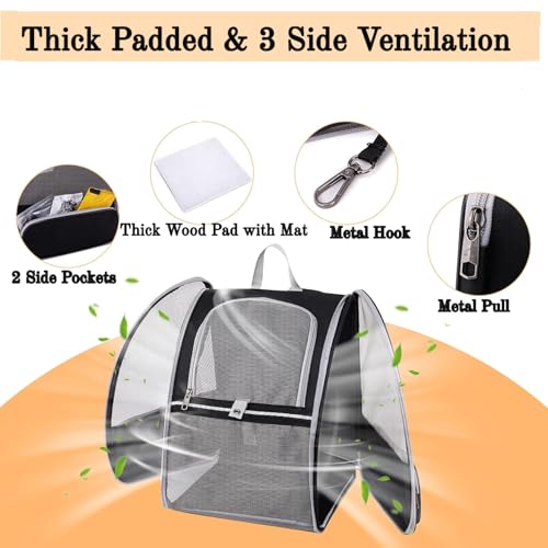 Pollason Pet Backpack Carrier for Cats and Small Dogs up to 15 lbs - Collapsible Travel Backpack with Mesh Ventilation (Black)