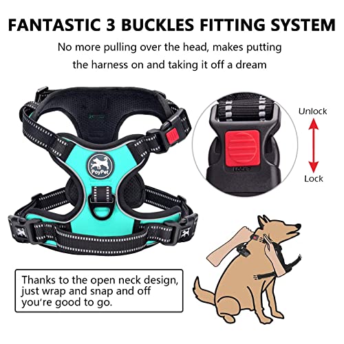 PoyPet No Pull Dog Harness - Reflective Vest with Front Clip, Adjustable Padded, Easy Control Handle for Small to Large Dogs (Mint Blue, M)