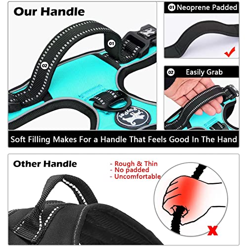 PoyPet No Pull Dog Harness - Reflective Vest with Front Clip, Adjustable Padded, Easy Control Handle for Small to Large Dogs (Mint Blue, M)