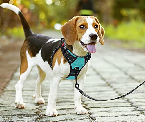 PoyPet No Pull Dog Harness - Reflective Vest with Front Clip, Adjustable Padded, Easy Control Handle for Small to Large Dogs (Mint Blue, M)