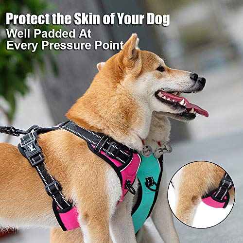 PoyPet No Pull Dog Harness in Mint Blue (Large) – Reflective Vest with Front & Back Leash Attachments