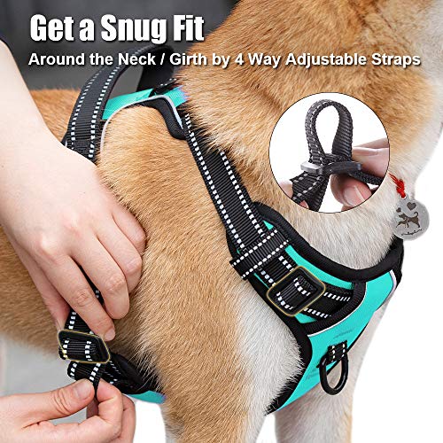 PoyPet No Pull Dog Harness in Mint Blue (Large) – Reflective Vest with Front & Back Leash Attachments