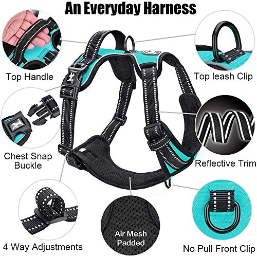 PoyPet No Pull Dog Harness in Mint Blue (Large) – Reflective Vest with Front & Back Leash Attachments