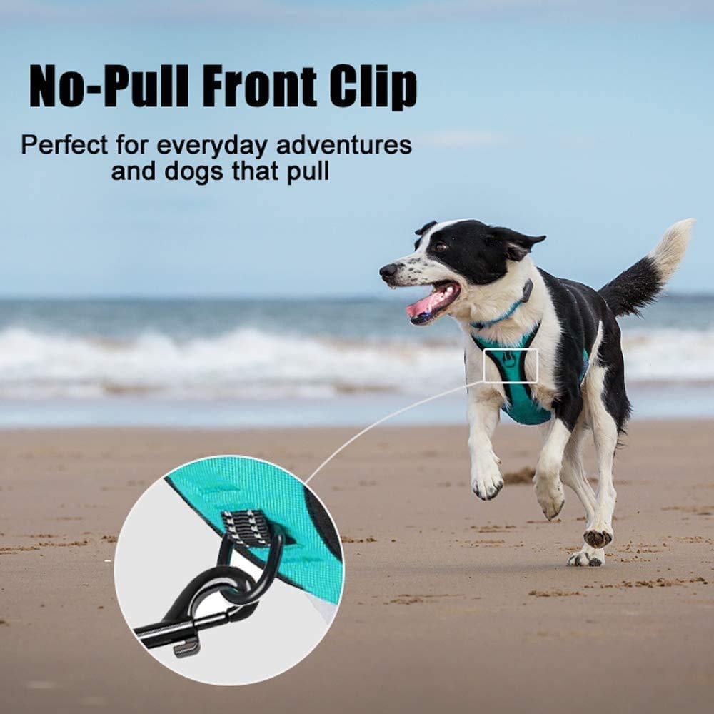 PoyPet No Pull Dog Harness in Mint Blue (Large) – Reflective Vest with Front & Back Leash Attachments