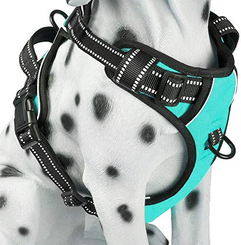 PoyPet No Pull Dog Harness in Mint Blue (Large) – Reflective Vest with Front & Back Leash Attachments