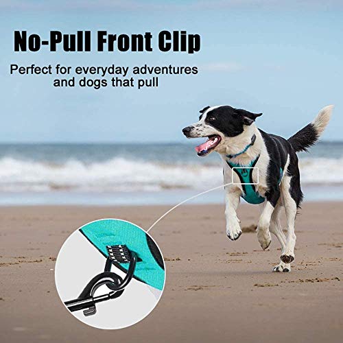 PoyPet No Pull Dog Harness in Mint Blue (Large) – Reflective Vest with Front & Back Leash Attachments