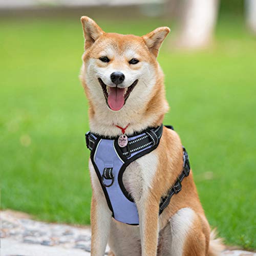 PoyPet No Pull Dog Harness Light Blue Medium - Reflective Vest Harness with Front and Back Leash Attachments, Padded Handle