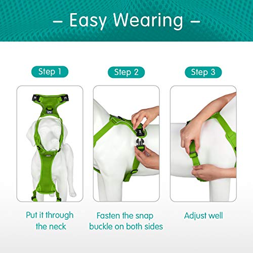 PoyPet Small Dog Harness - Reflective, Breathable Mesh, Mint Green, Size S
