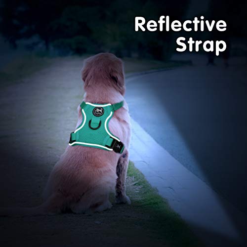 PoyPet Small Dog Harness - Reflective, Breathable Mesh, Mint Green, Size S