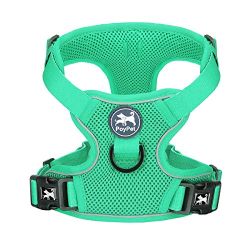 PoyPet Small Dog Harness - Reflective, Breathable Mesh, Mint Green, Size S