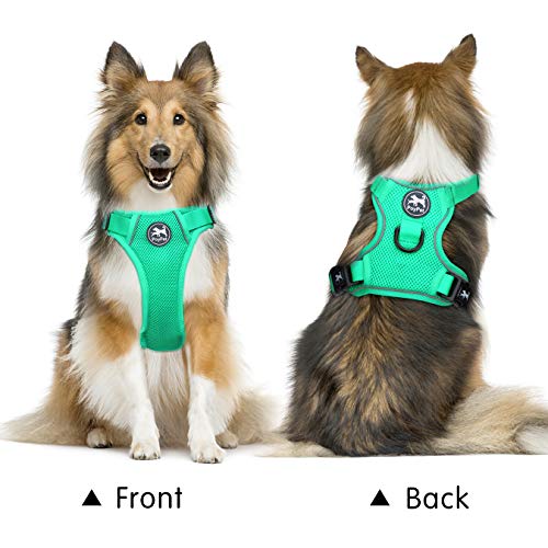 PoyPet Small Dog Harness - Reflective, Breathable Mesh, Mint Green, Size S