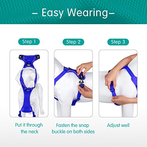 PoyPet Small Reflective Mesh Dog Harness - Royal Blue - Breathable, Adjustable Vest