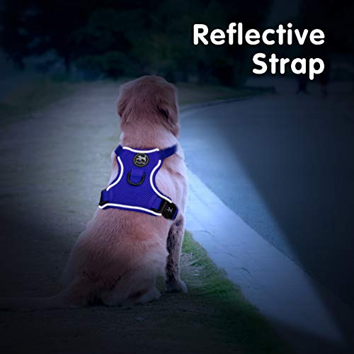 PoyPet Small Reflective Mesh Dog Harness - Royal Blue - Breathable, Adjustable Vest
