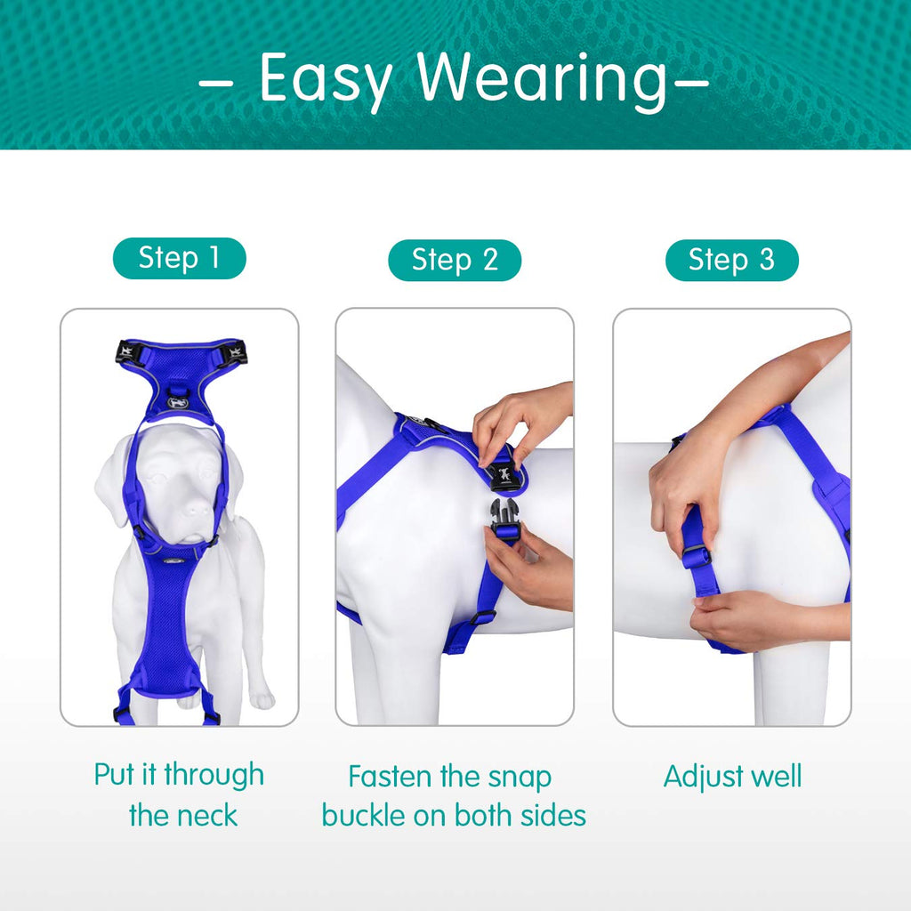 PoyPet Small Reflective Mesh Dog Harness - Royal Blue - Breathable, Adjustable Vest