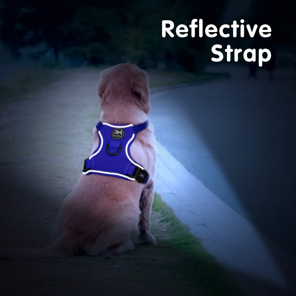 PoyPet Small Reflective Mesh Dog Harness - Royal Blue - Breathable, Adjustable Vest