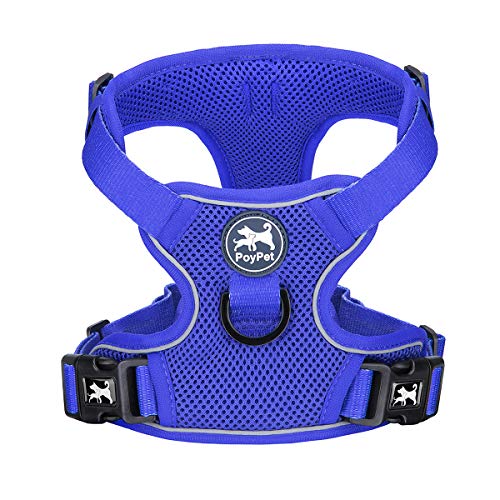 PoyPet Small Reflective Mesh Dog Harness - Royal Blue - Breathable, Adjustable Vest