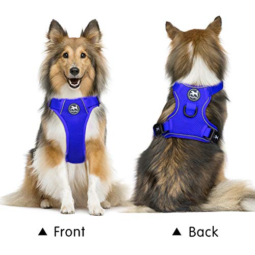 PoyPet Small Reflective Mesh Dog Harness - Royal Blue - Breathable, Adjustable Vest