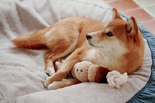Puffy Crew Bakery Bite_Stick Croissant Dog Toy – 12-Inch Plush with Tube Squeaker and Rope
