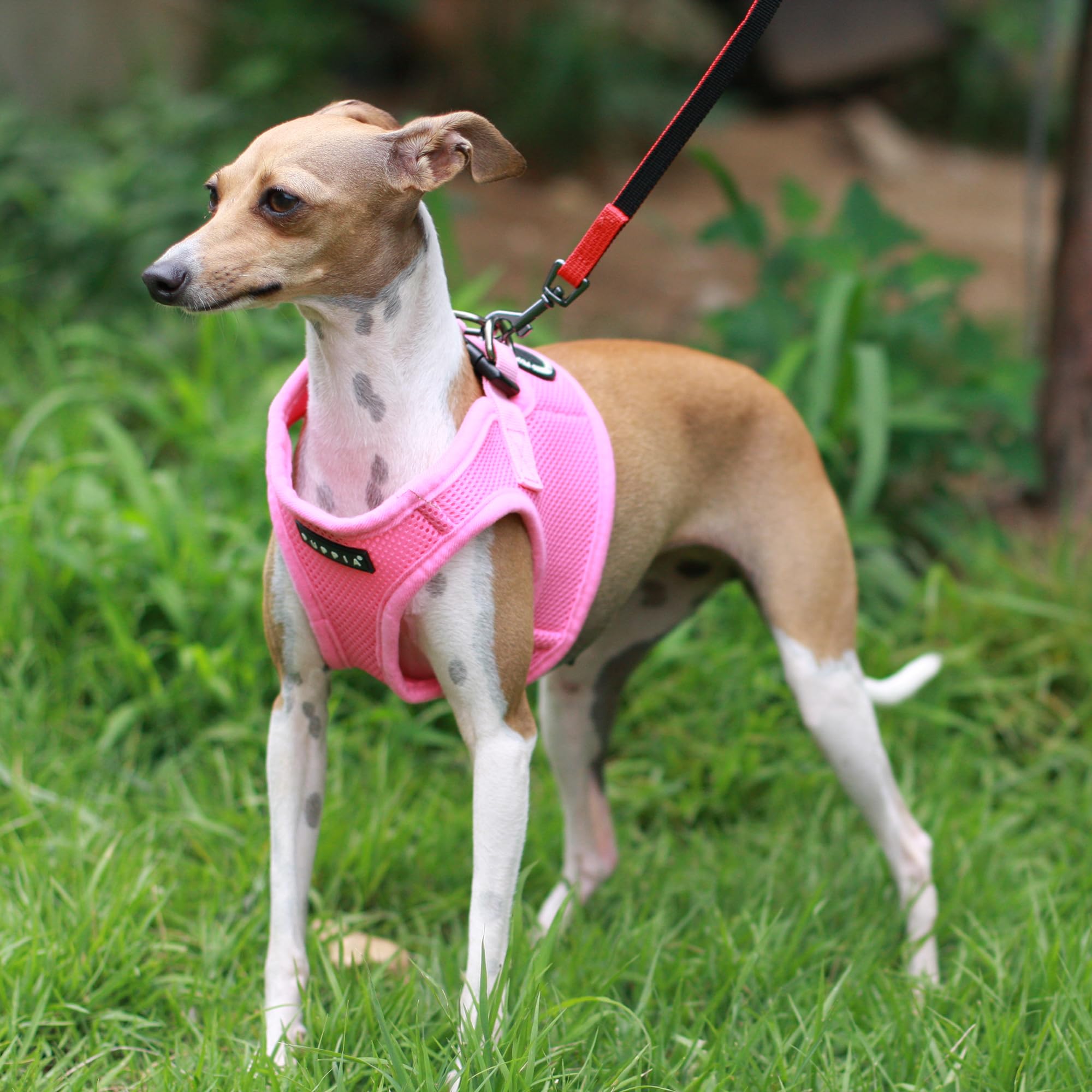 Puppia Soft Dog Harness Vest - Large, Pink, Breathable Mesh with Adjustable Fit