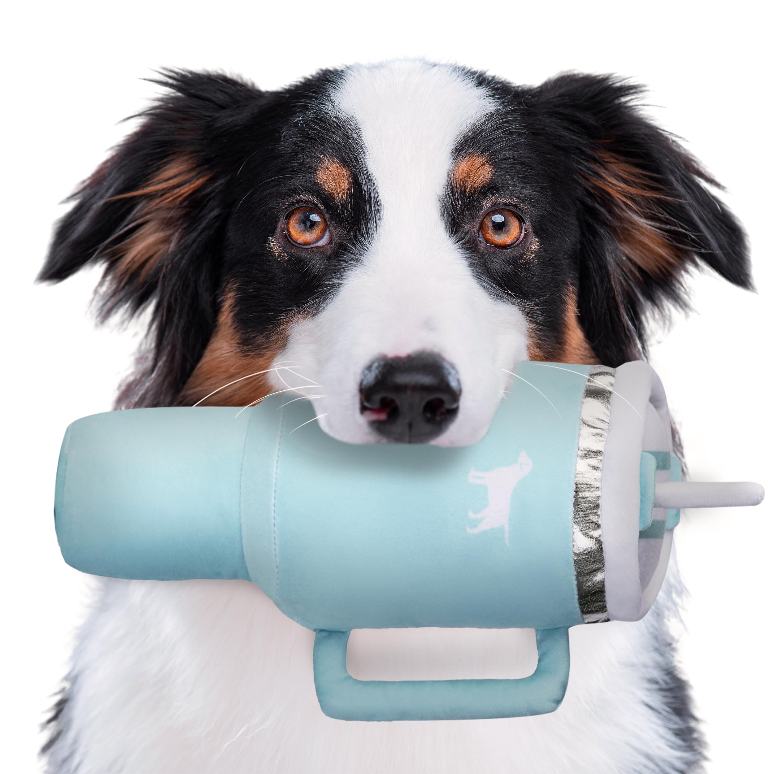 PUPROAR Pup Cup Tumbler Dog Toy (Mint Green) – Squeaky Plush Toy for Dogs, Cute Birthday Gift