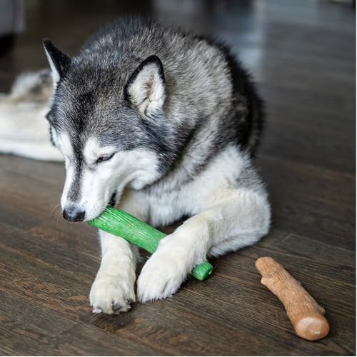 Pupstages Dogwood Breath Dog Chew Toy – 2-Pack of Real-Wood Blend Chews for Moderate Chewers, Large (8 Inch)